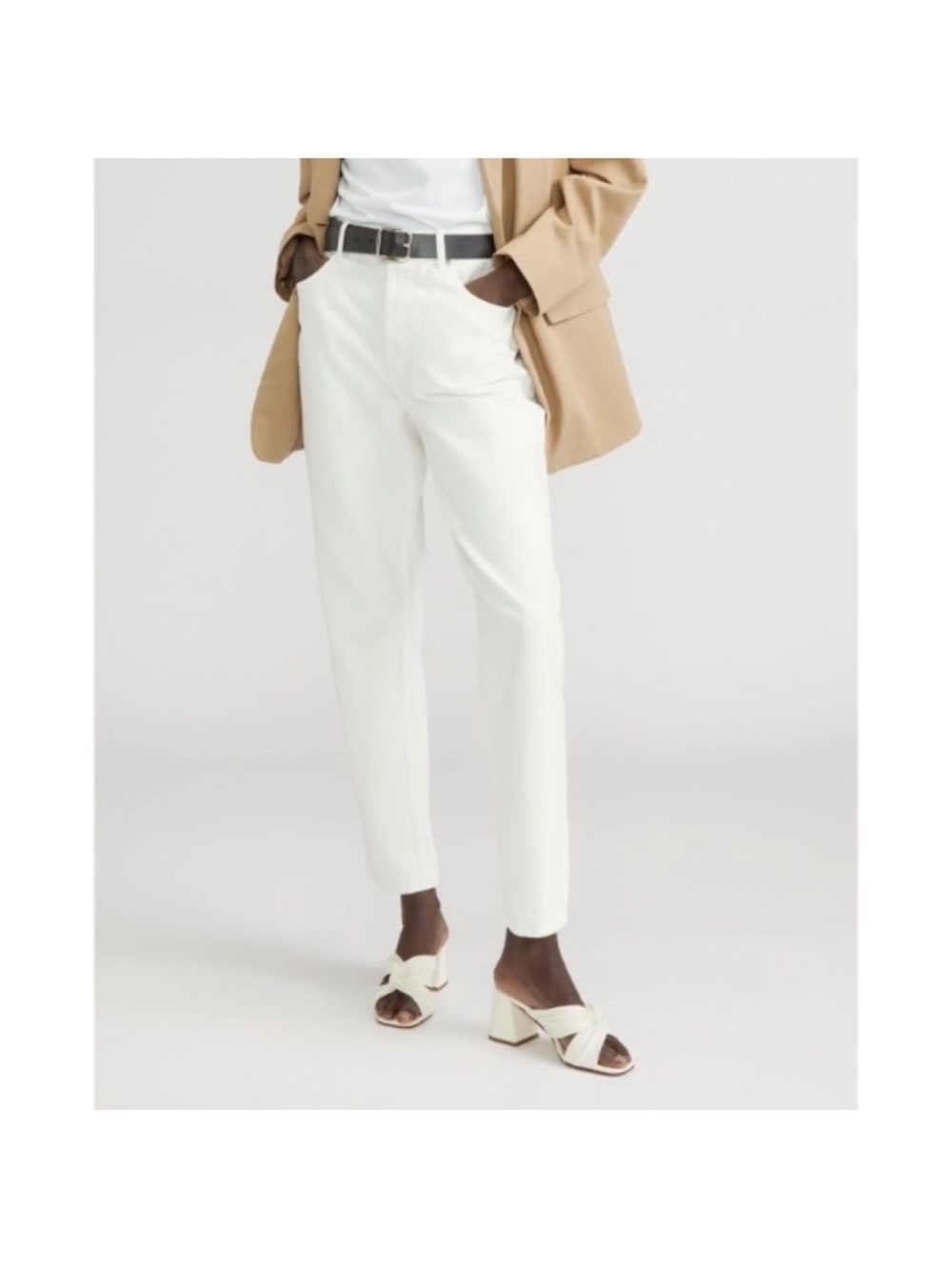 Everlane 90s Cheeky Straight Leg  Cropped Ankle‎ Jean in Bone Size 28 NWT